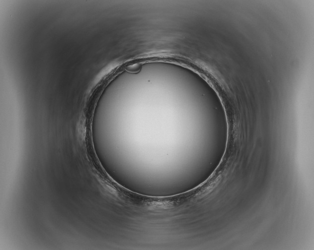 X0000116651406200912141246