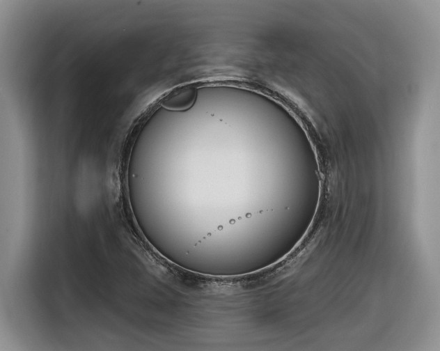 X0000116651407200912141246