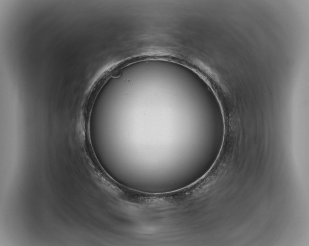 X0000116651408200912141246