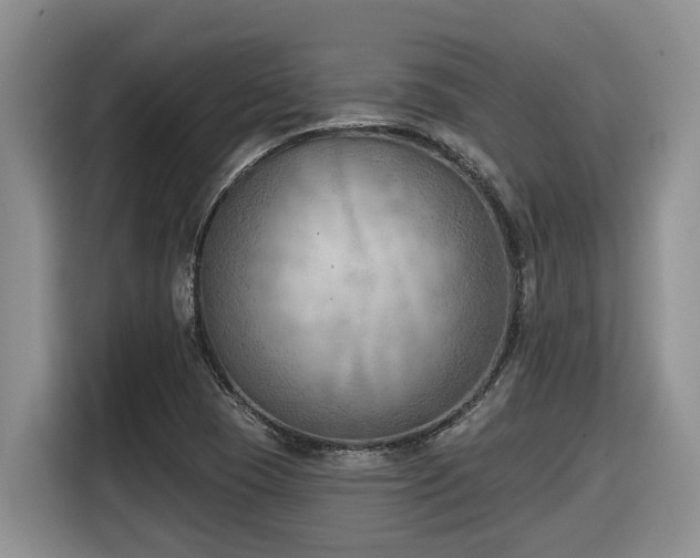 X0000116651409200912141246