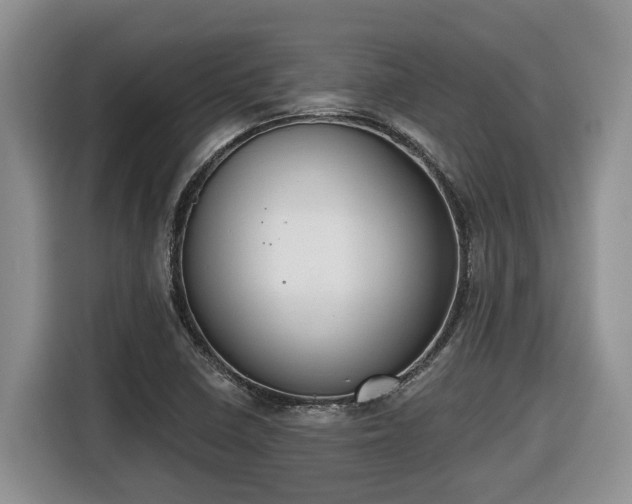 X0000116651410200912141246