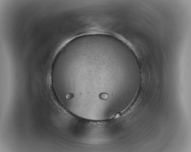 X0000116651415200912141246