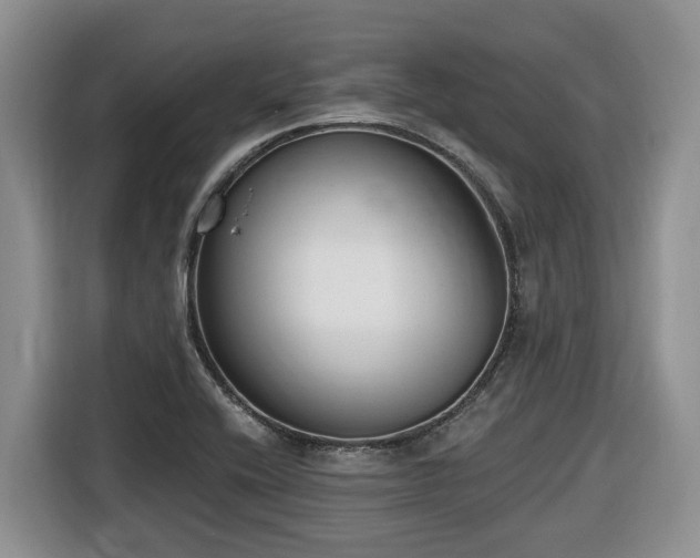 X0000116651416200912141246