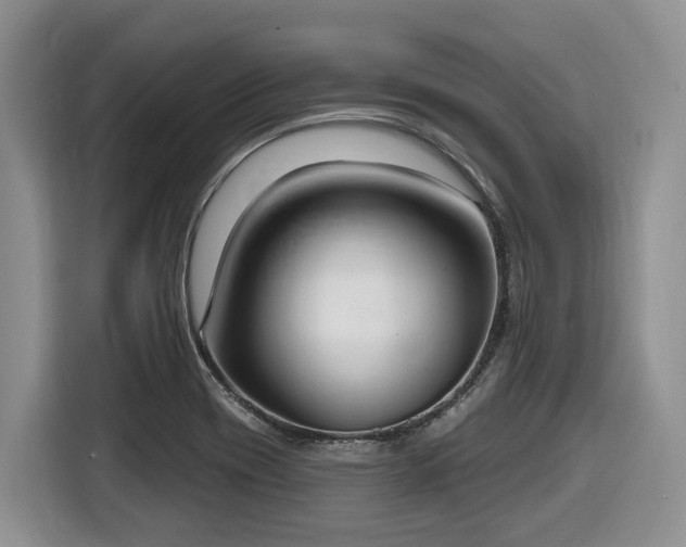 X0000116651417200912141246