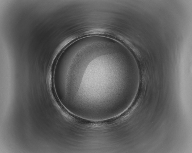 X0000116651418200912141246