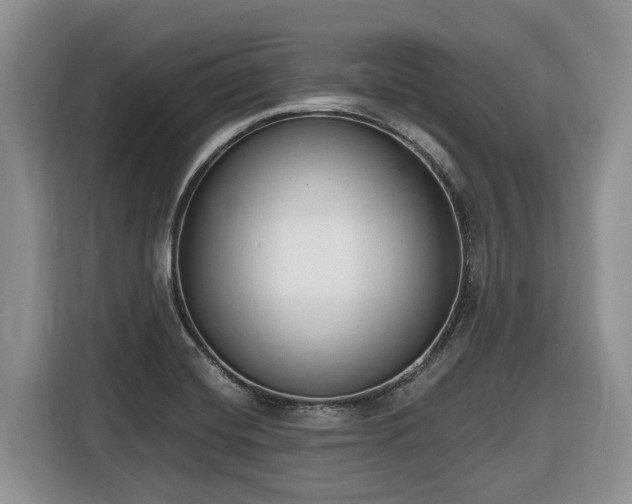 X0000116651420200912141246