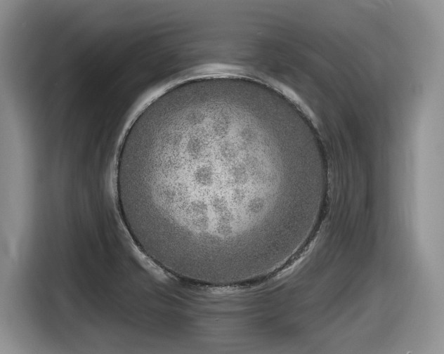 X0000116651421200912141246