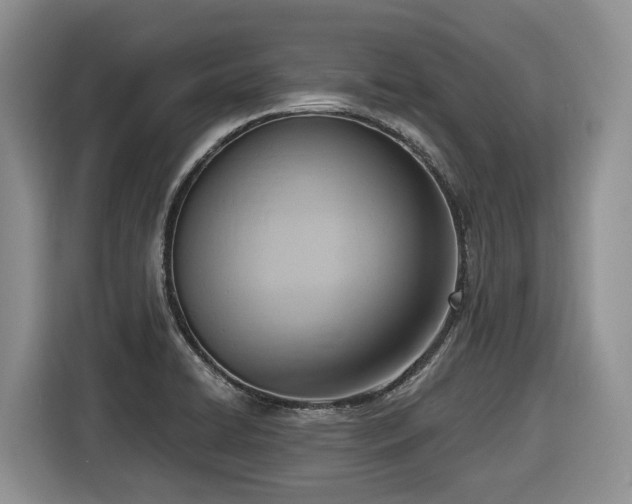 X0000116651422200912141246