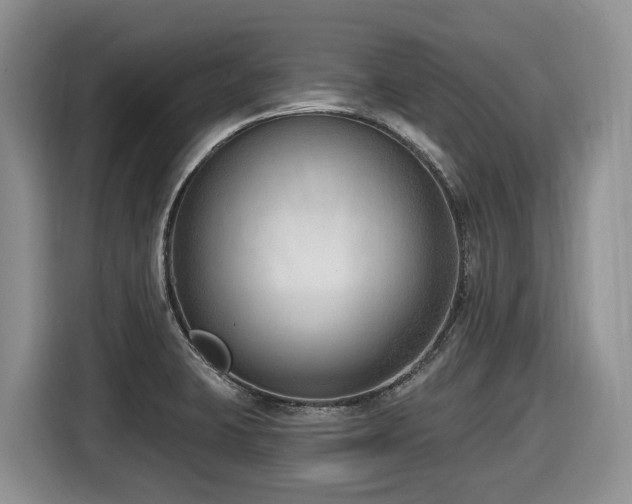 X0000116651423200912141246