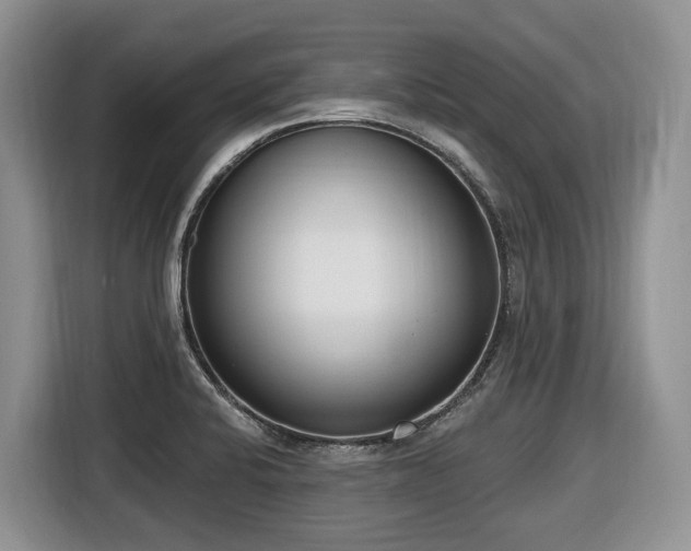 X0000116651424200912141246