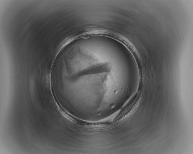 X0000116651425200912141246