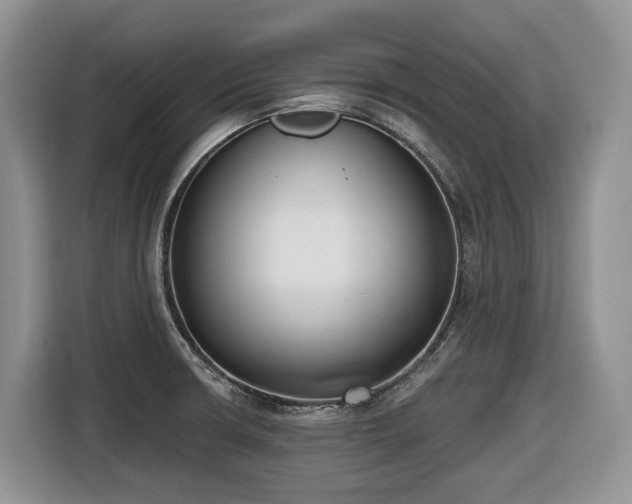 X0000116651426200912141246