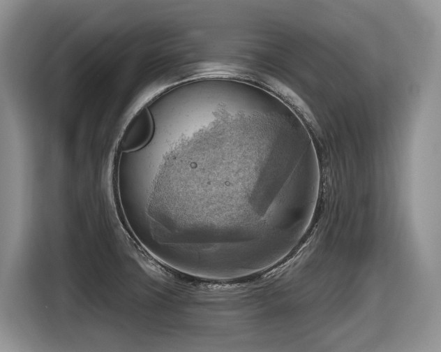 X0000116651427200912141246