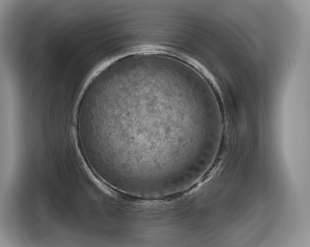 X0000116651429200912141246