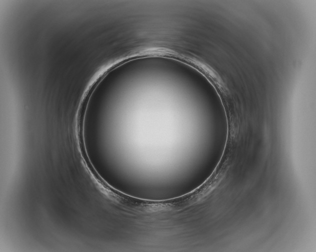 X0000116651430200912141246