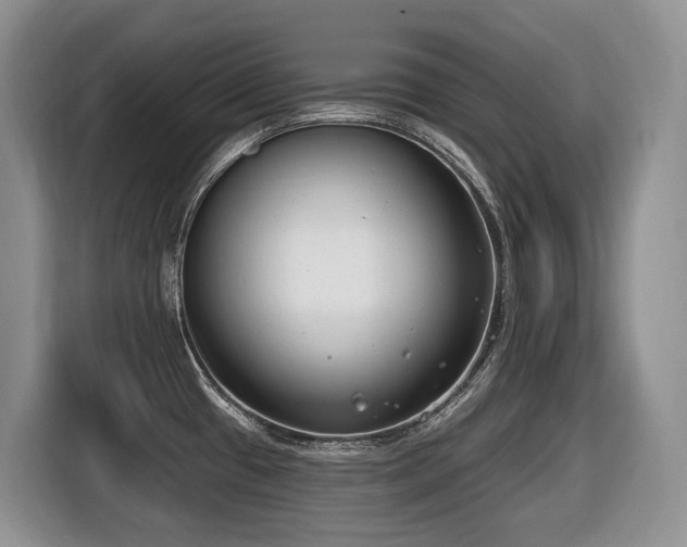 X0000116651433200912141246