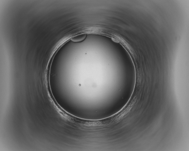 X0000116651434200912141246