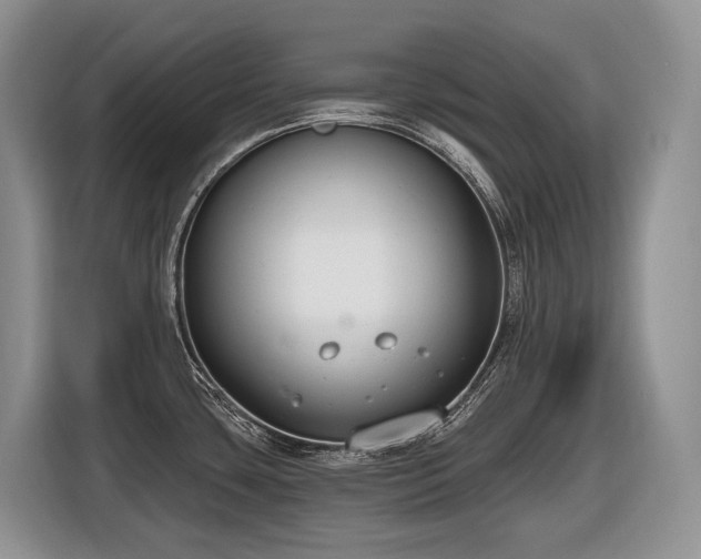 X0000116651435200912141246