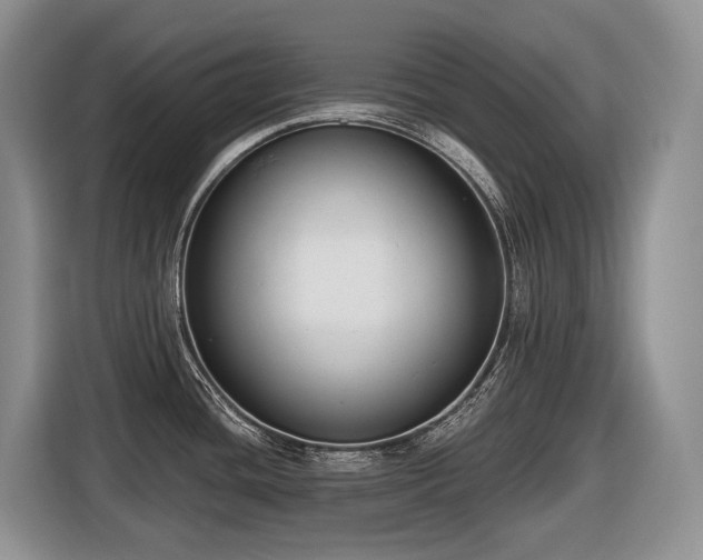 X0000116651436200912141246