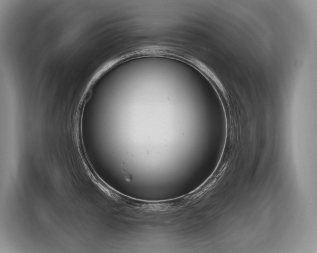 X0000116651437200912141246