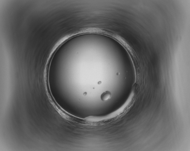 X0000116651438200912141246
