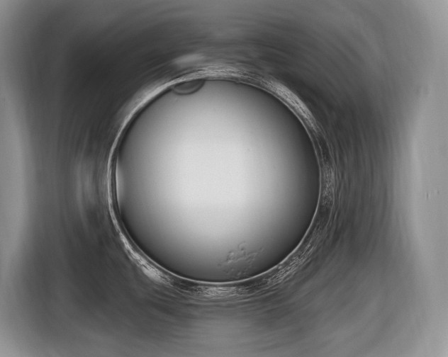 X0000116651439200912141246