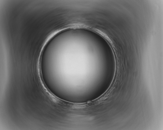 X0000116651440200912141246