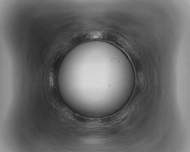 X0000116651442200912141246