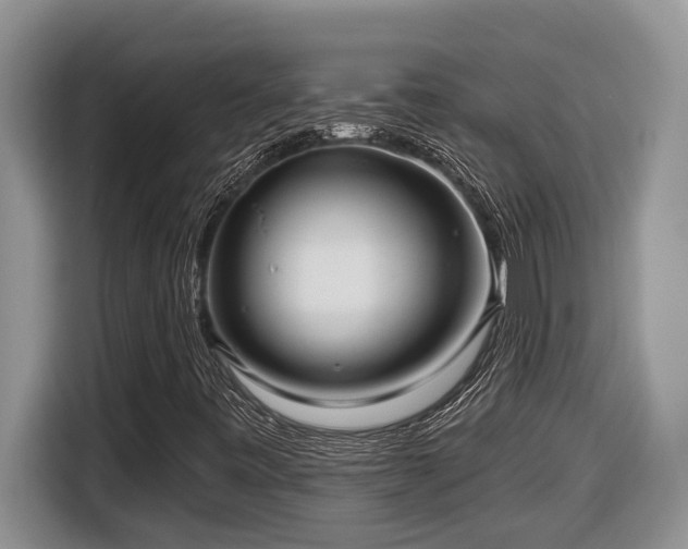 X0000116651443200912141246
