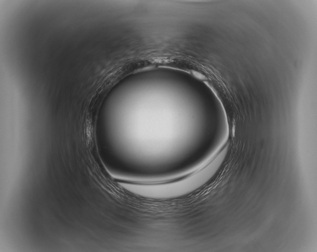X0000116651444200912141246