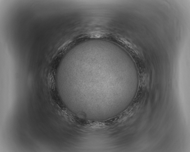 X0000116651446200912141246