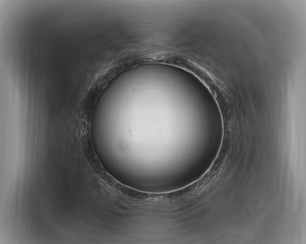 X0000116651447200912141246