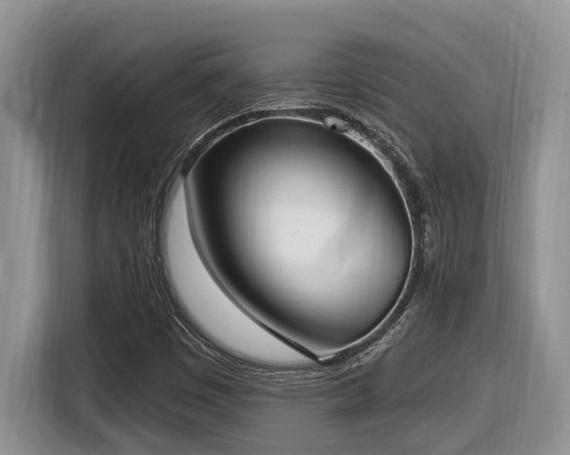 X0000116651449200912141246