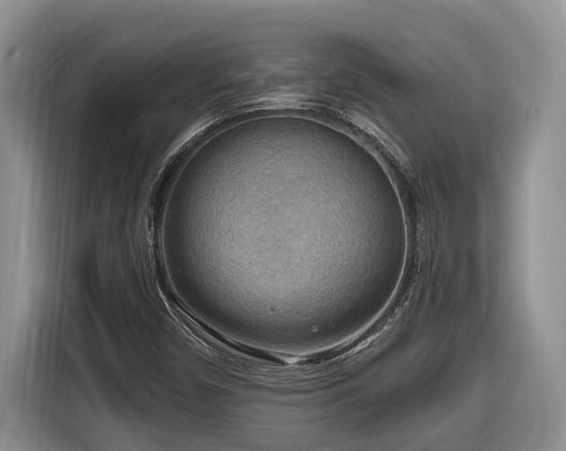 X0000116651450200912141246