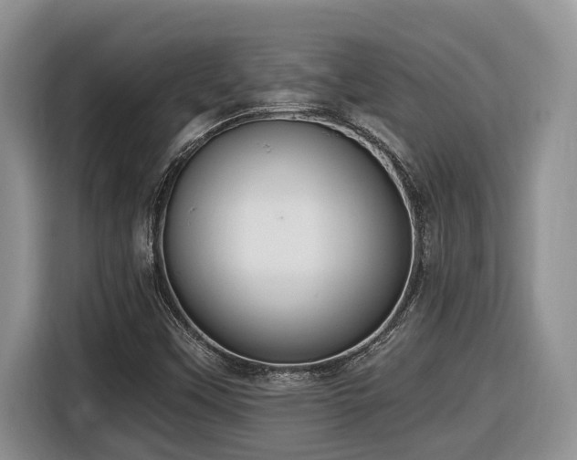 X0000116651451200912141246