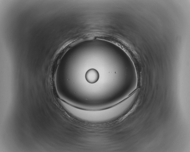 X0000116651453200912141246