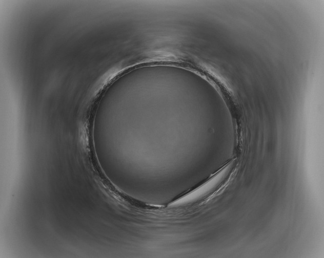 X0000116651455200912141246