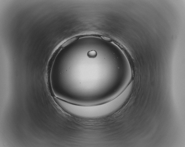 X0000116651460200912141246