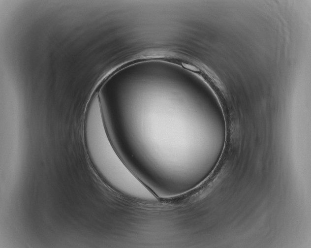 X0000116651465200912141246
