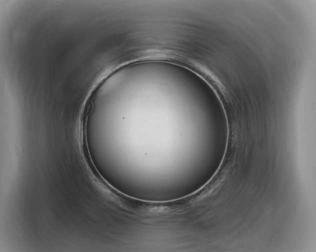 X0000116651467200912141245
