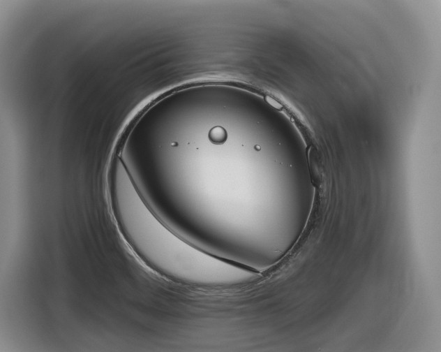 X0000116651468200912141245