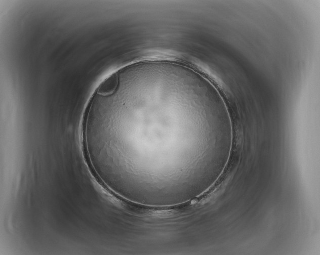 X0000116651471200912141245