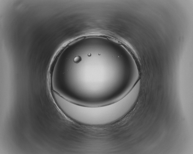 X0000116651472200912141245
