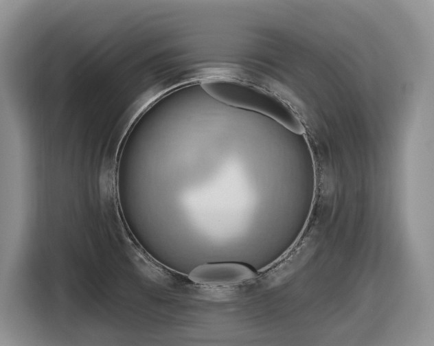 X0000116651473200912141245