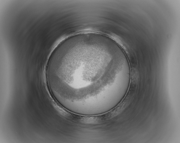 X0000116651474200912141245