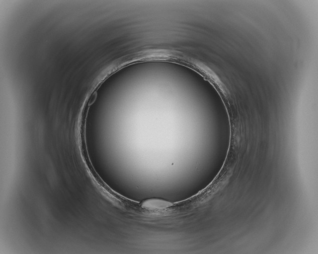 X0000116651475200912141245