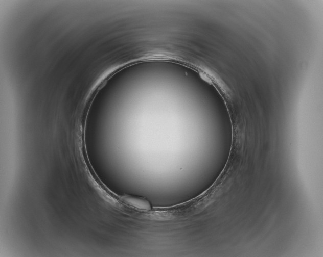 X0000116651476200912141245