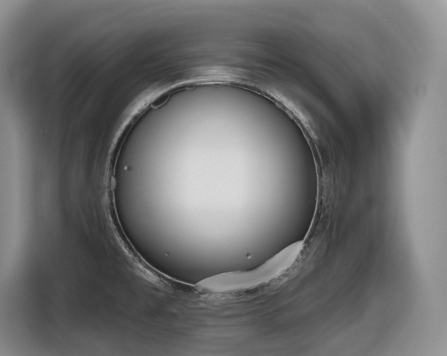 X0000116651477200912141245
