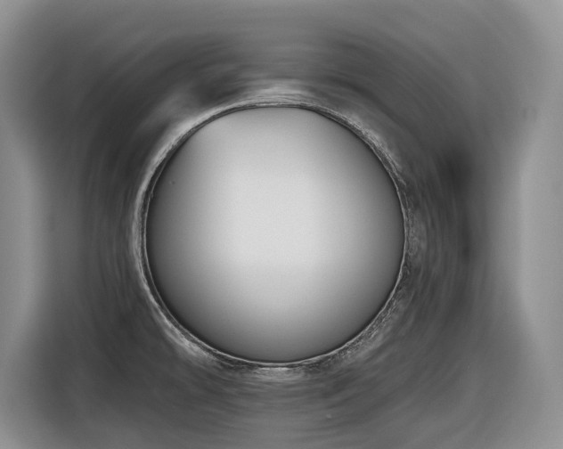 X0000116651478200912141245