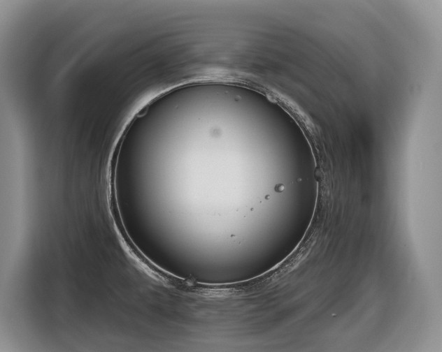 X0000116651479200912141245